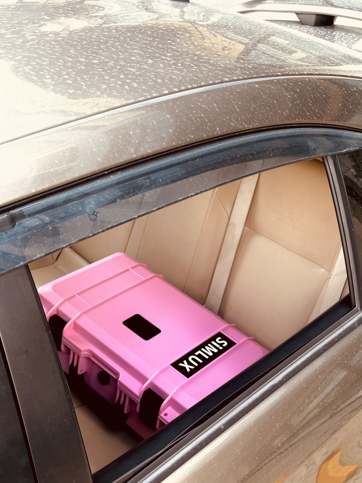 Pink case loaded through a car window
